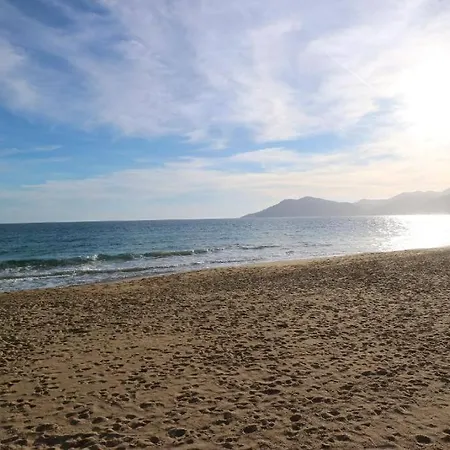 Ocean View Royal Palm Apartment Cannes